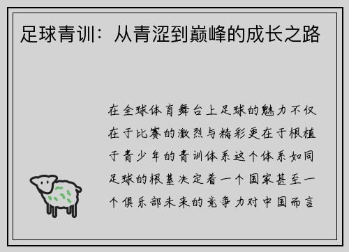 足球青训：从青涩到巅峰的成长之路